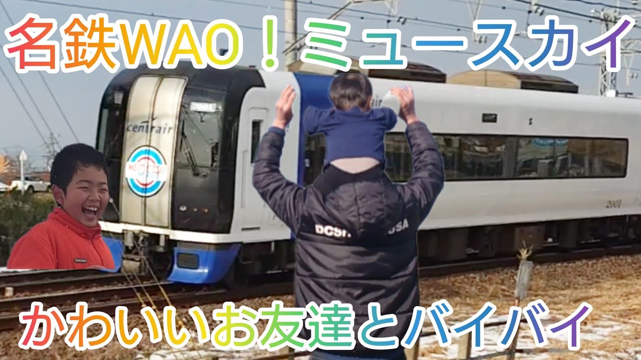 名鉄WAO！ミュースカイ🤩かわいいお友達とバイバイ👋サービスホーンゲット　名鉄笠松カーブ🥰　パノラマスーパー