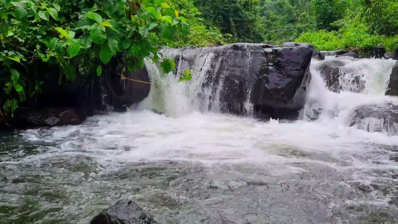 Calm River Flow for Deep Concentration • 1 Hour Natural Stream Ambience for Focus 4K
