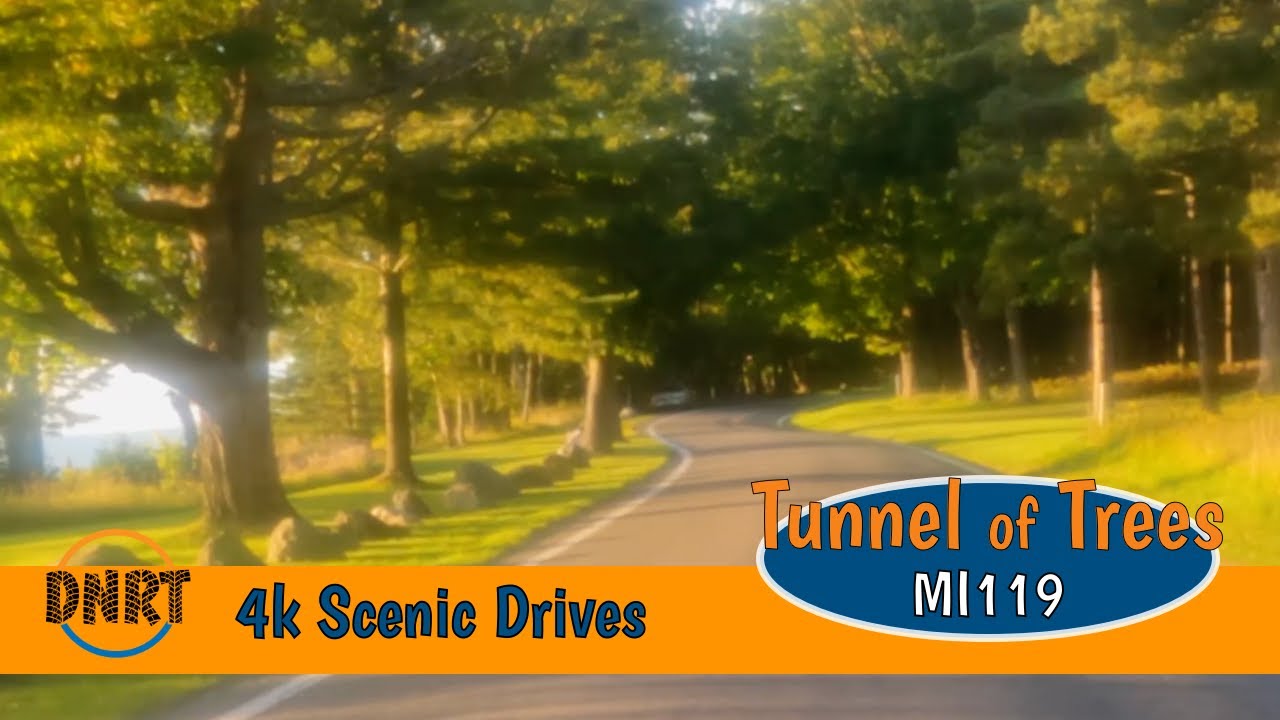 TUNNEL OF TREES 4K SCENIC DRIVE///Northbound M119 from Harbor Springs Michigan to Sturgeon Bay