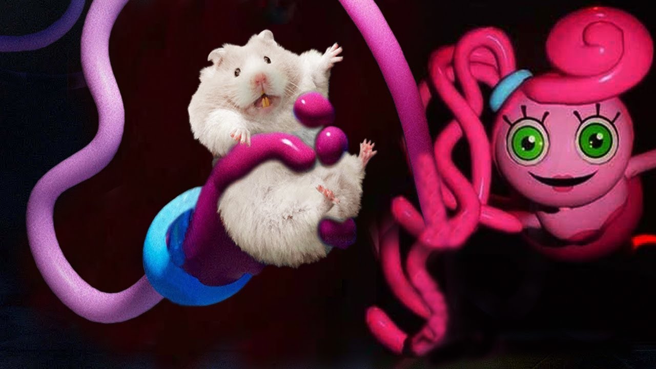 Hamster Escapes HUGGY WUGGY Maze - Poppy Playtime Chapter 2 Maze| Life Of Hamster