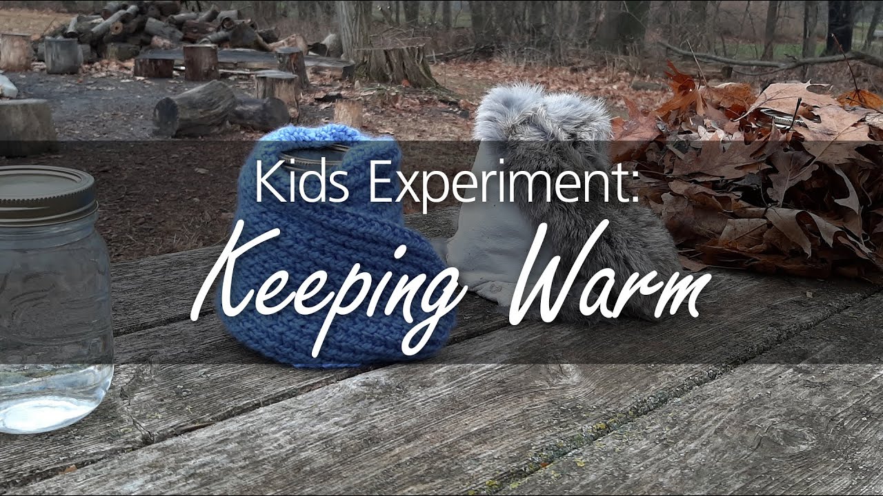 Stay Warm: Insulation Experiment