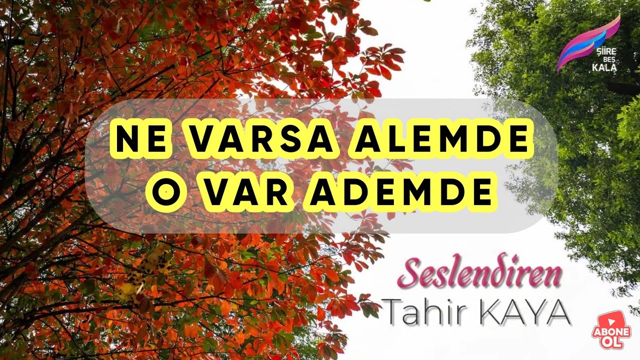 Ne Varsa Alemde, O Var Ademde