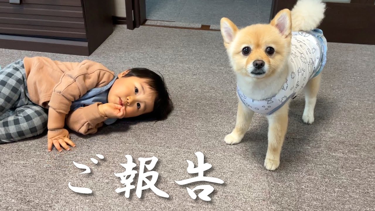 【ご報告】甥っ子の成長を温かく見守ってくださった皆様へ