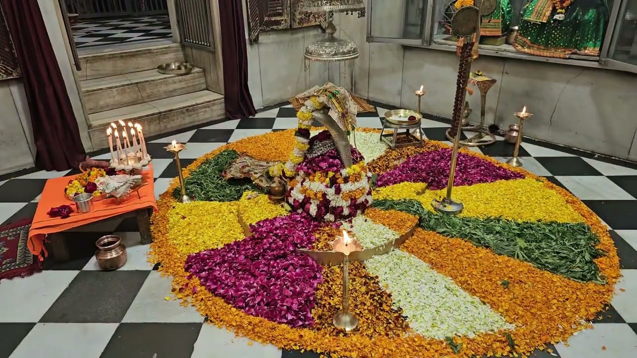 सोमवार दर्शन दक्षेश्वर महादेव मन्दिर कनखल हरिद्वार ##महादेव #मन्दिर #शिव #शंकर #भोलेनाथ #दक्षेश्वर 