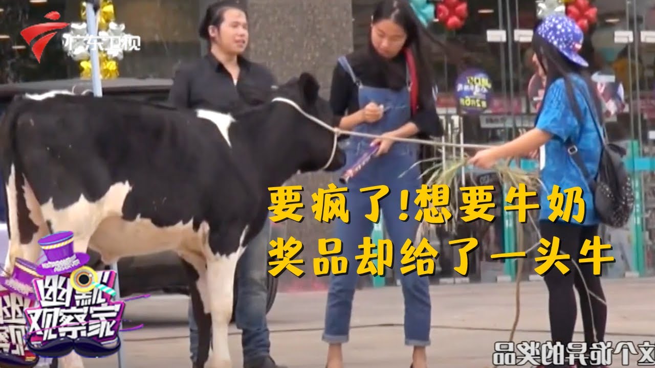 惊喜还是惊吓!逛街中大奖,谁能想到是一头牛啊!【幽默观察家】 #粤语