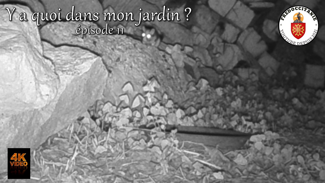 Y a quoi dans votre jardin #11