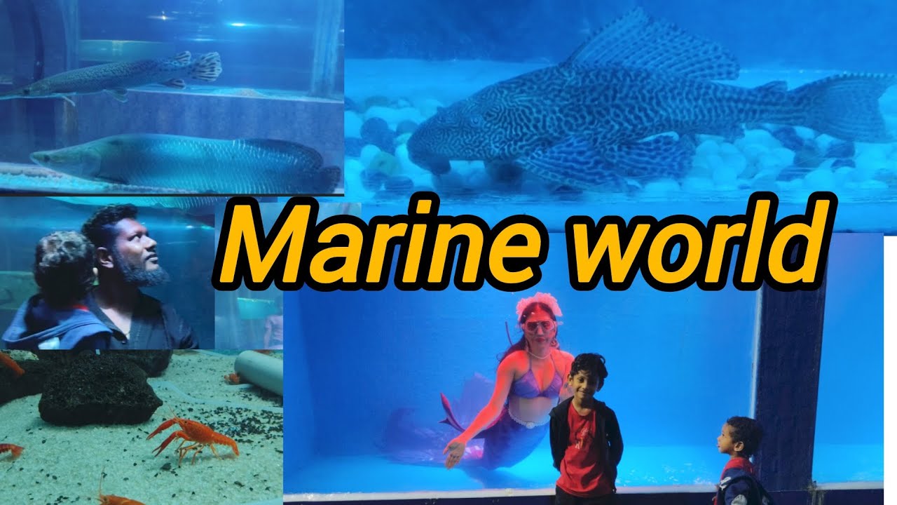 MARINE EXPO |MARINE WORLD THRISSUR |#junji'sworld #marineworld #underwaterworld #tunnelaquarium