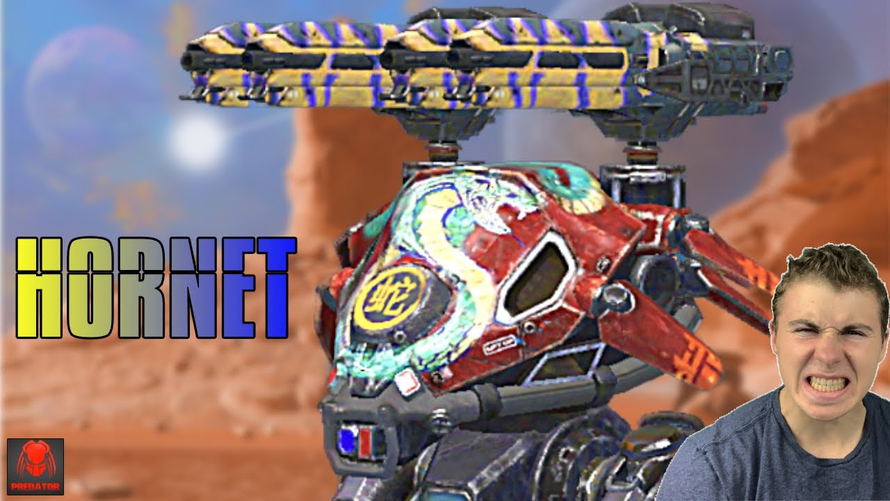 Heavy HORNETS Being Put To The Test On Canyon - DUEL Carnage Hornet Shooting Apart Robots | WR