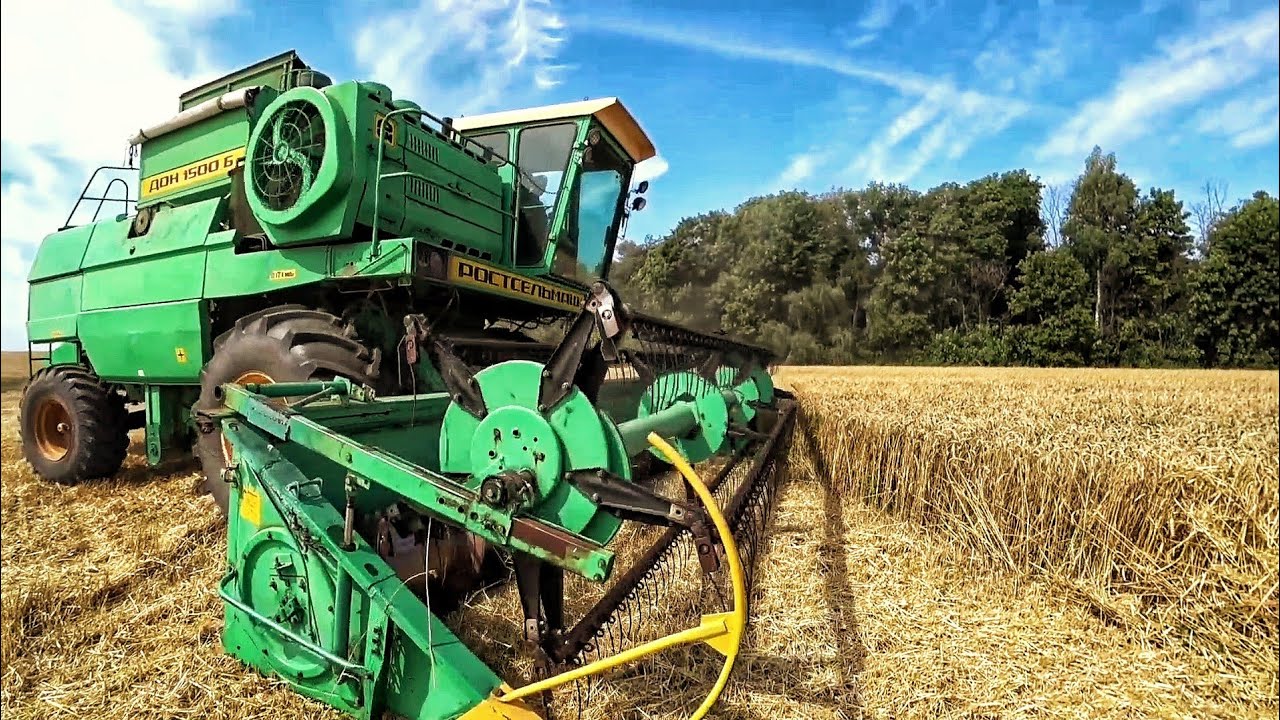 Harvest 2020 in Russia. Уборочная 2020 Дон 1500Б