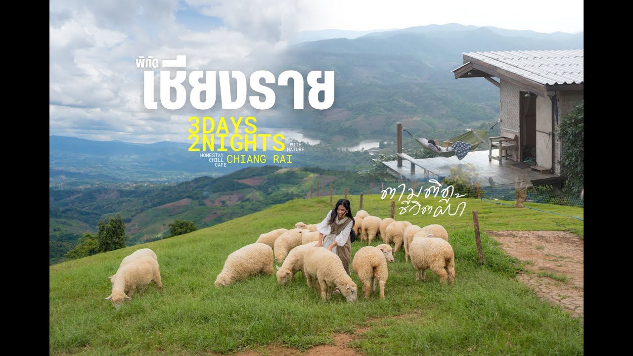พิกัดเที่ยวเชียงราย 3 วัน 2 คืน (กับที่ๆ เราไม่เคยไป) #โฮมสเตย์ #travel #เชียงราย #cafe