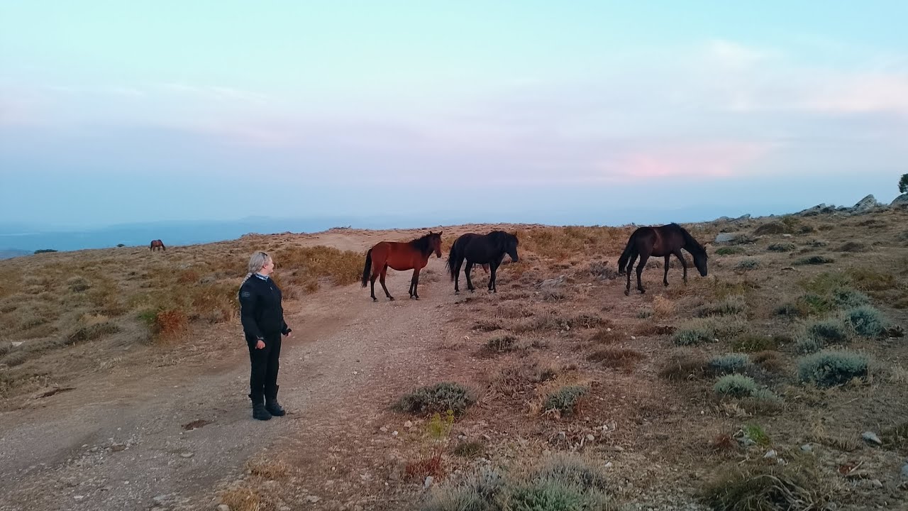 Passeggiata sul Monte Santa Vittoria (Esterzili) 
