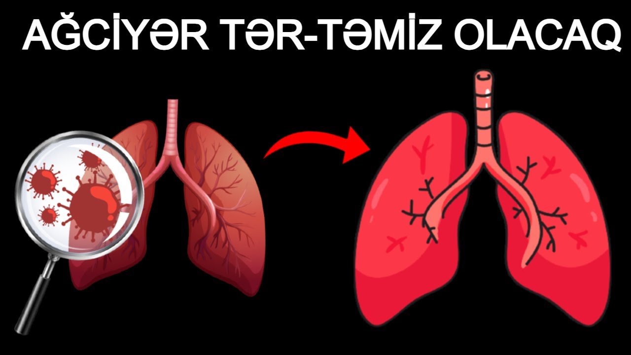 Ağciyəri TƏR-TƏMİZ Edən 10 SUPER QİDA