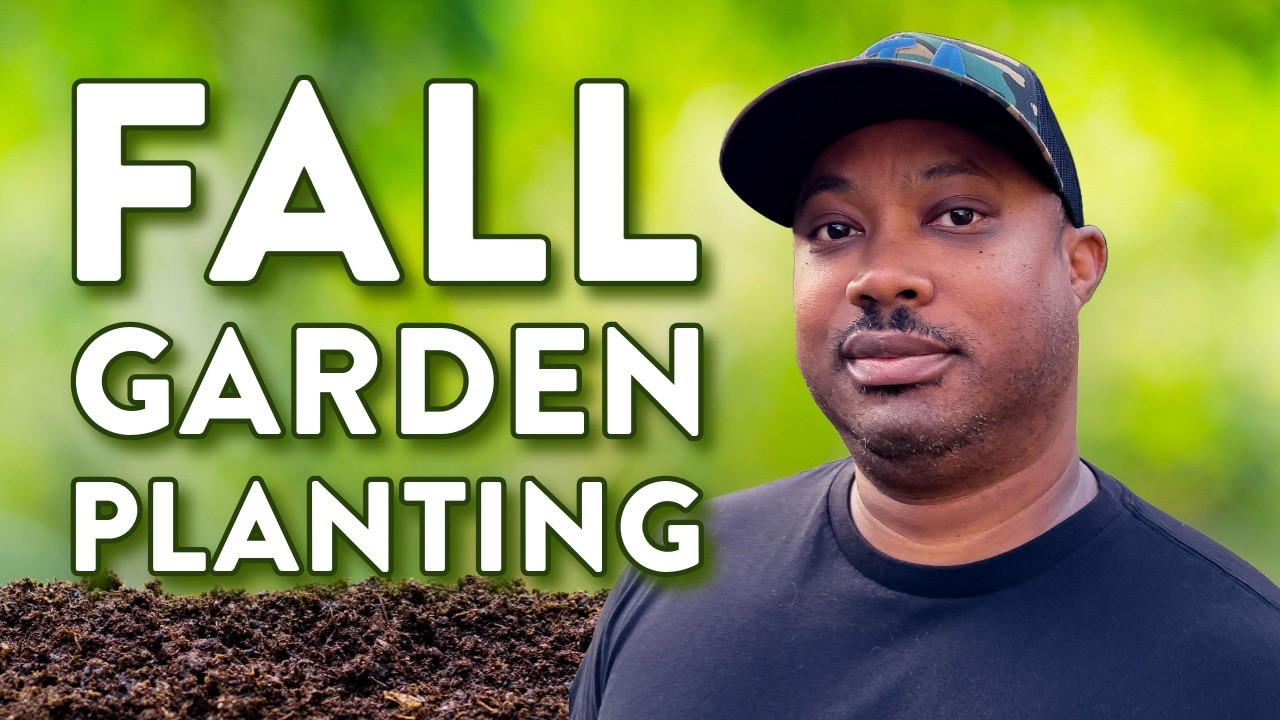 Plant These Vegetables in September for a Fall Garden