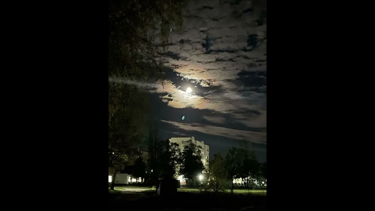 ㅤ
