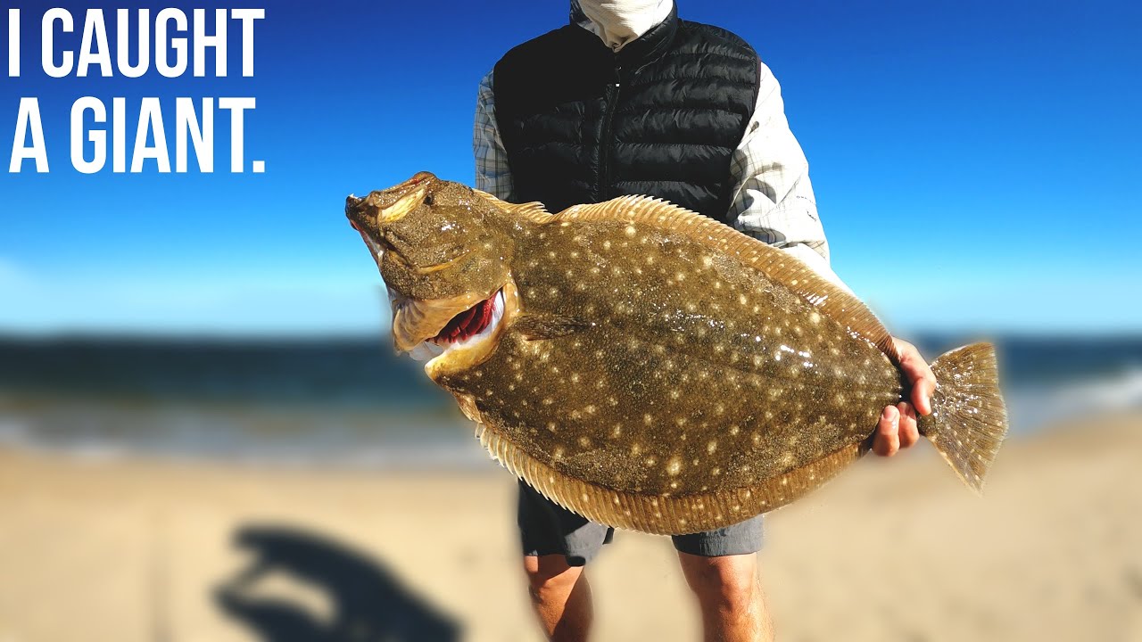 Single Jig + Blade SHOREMAT - Deadliest Fluke Rig - Flounder Fishing 2025