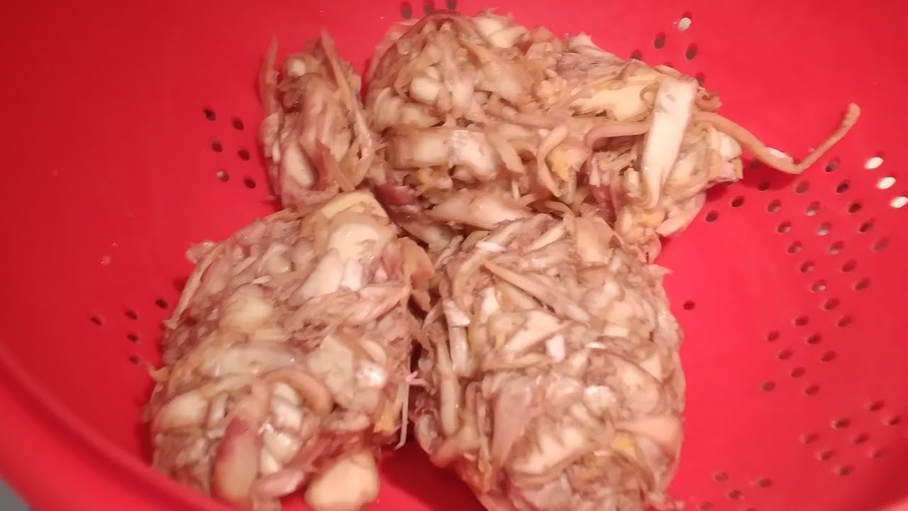 Ginataang puso at manok @lhynnjoycemahumot4040 