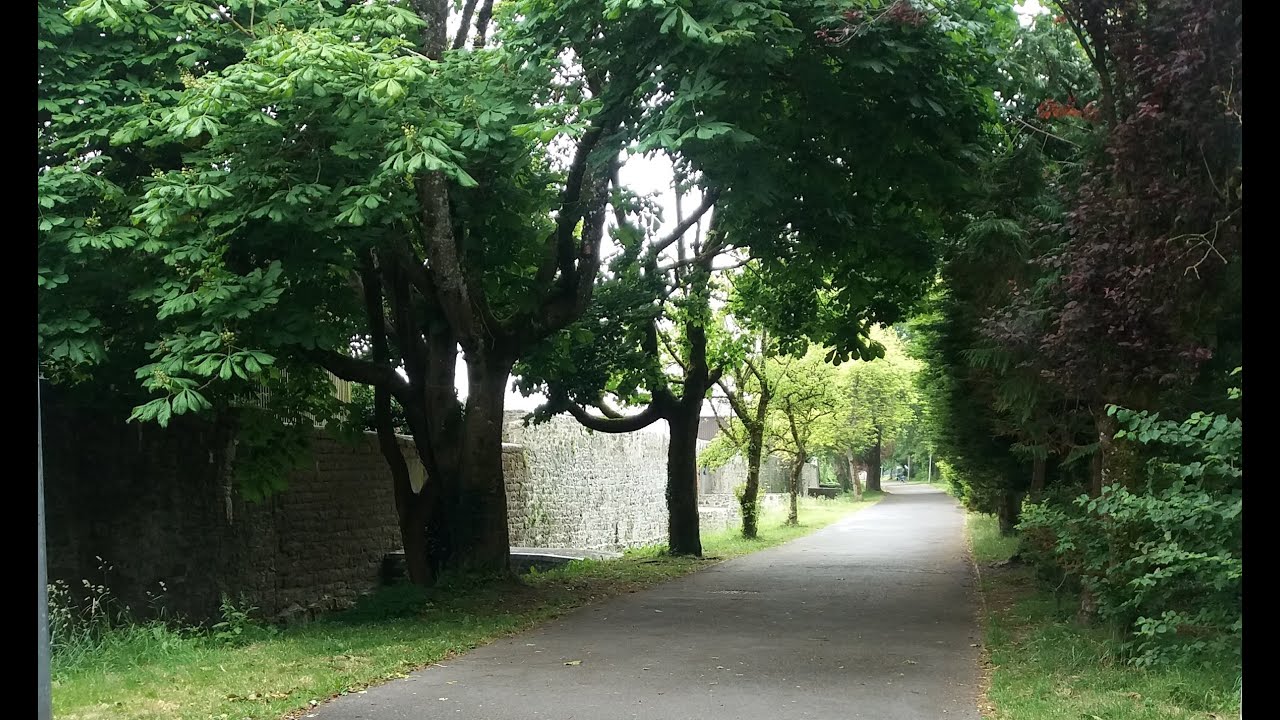 Virtual Tour of Medieval Loughrea