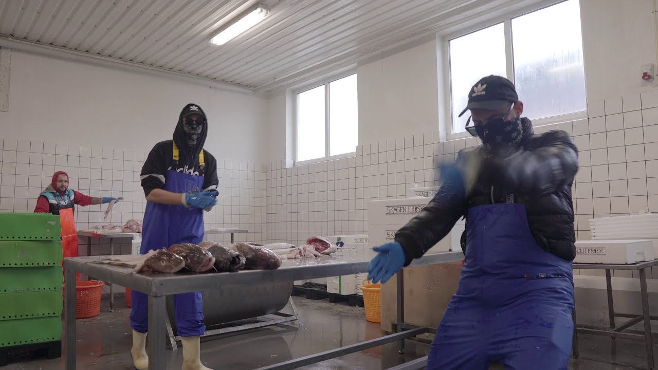 Randers Cowboys - JYLLAND (Officiel Musikvideo)