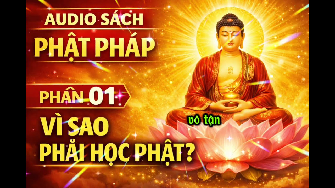 VÌ SAO CON NGƯỜI PHẢI HỌC PHẬT PHÁP? SỰ THẬT ÍT AI NHẬN RA 🙏