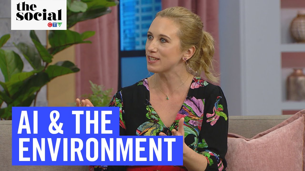 The Impact of AI on the Environment | The Social