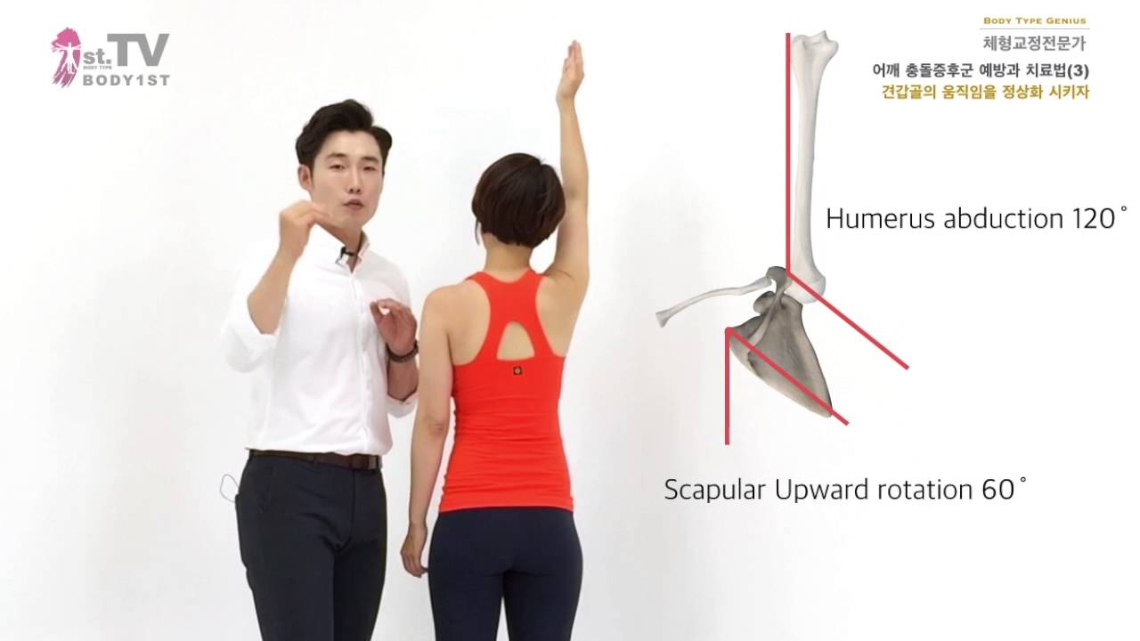 어깨 충돌증후군 예방과 치료 2 견갑골의 움직임 만들기 - BODY1ST(건강퍼스트) 김두엽
