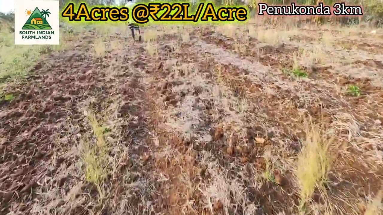 4 acres of farmland for sale near Penukonda at ₹22/Acre