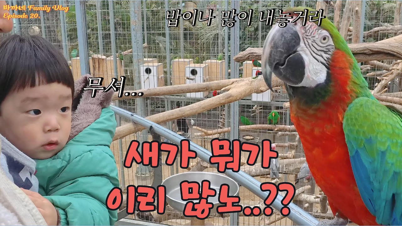 경주 가족여행 추천! 버드파크에서 원숭이 & 파충류까지 구경하고 왔어요