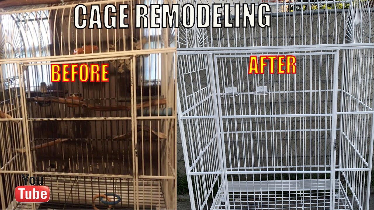 DIY How to remodel an old rusty Bird/Parrot  Cage into a brand new one Glory's old cage for only $40