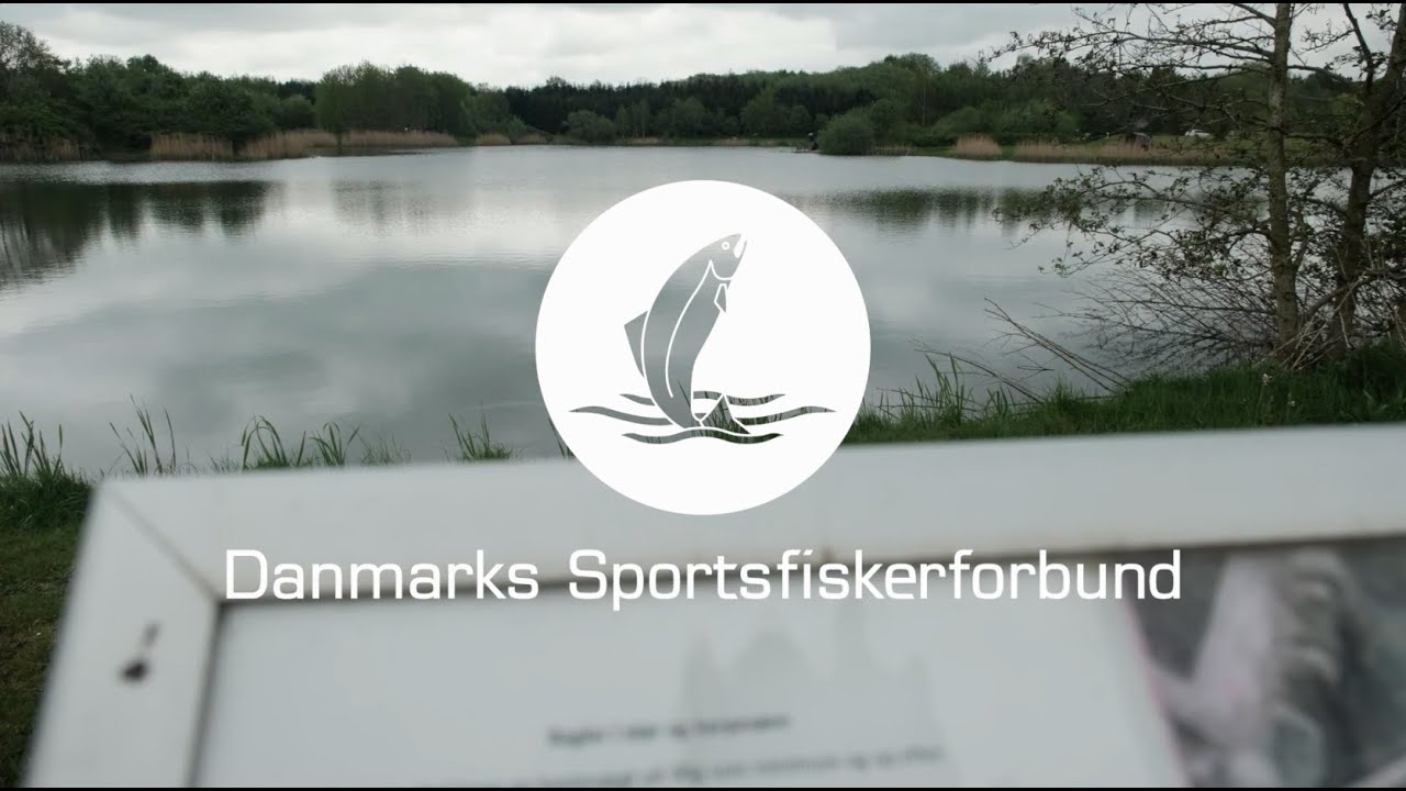 Størkursus 2024