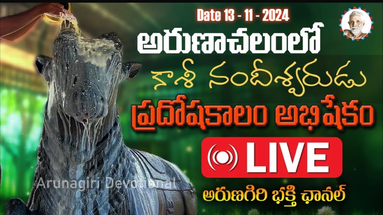 🔴LIVE  అరుణాచలంలో కాశీ నందీశ్వరుడు ప్రదోషకాలం అభిషేకం | Date 13-11-2024 |  Arunachalam Temple