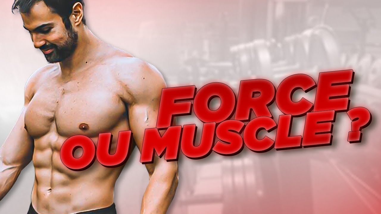 FORCE ET MASSE EN MUSCULATION