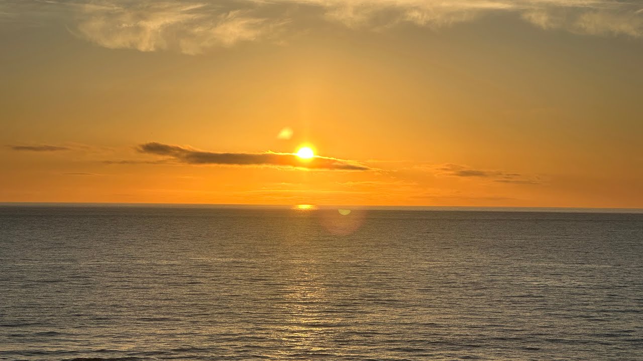 Riu Tres Islas April 2025 Short