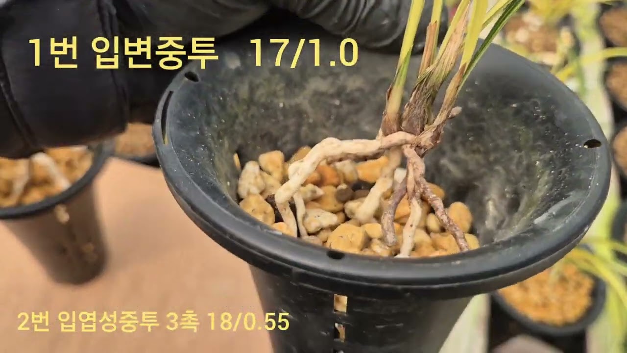 2026년 2월 15일. 1번23만원  2번 18만원  연락처  010 8553 8255 