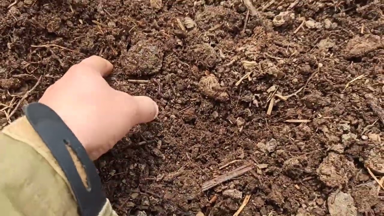 Биогумус сотилади. Термизда. Катта партияда. +998975319155