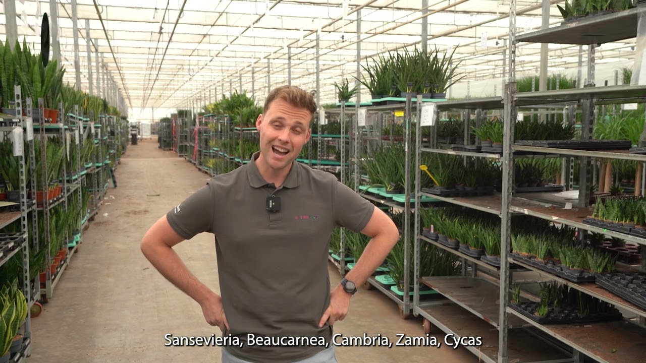 Grower of the month August 2025: Duijn-Hove