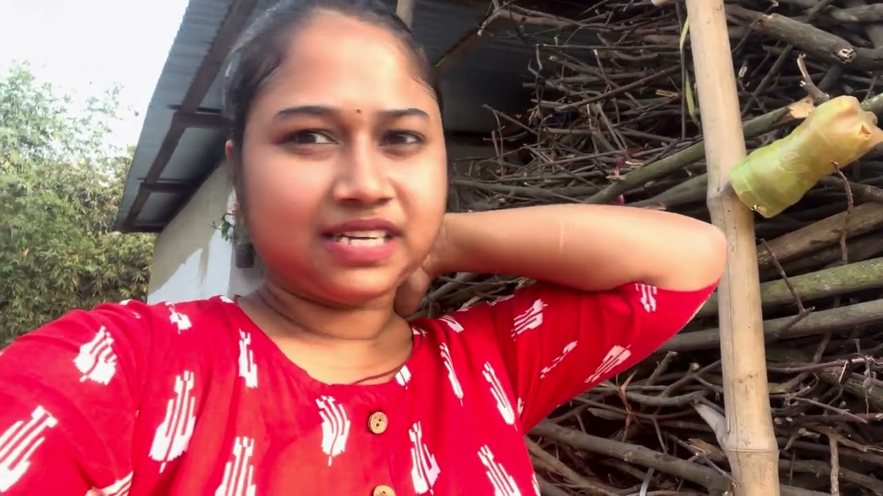 My vlogs//YouTube vlogs//new vlogs বাবু দিলে কাউৰী মাত #viralvideo