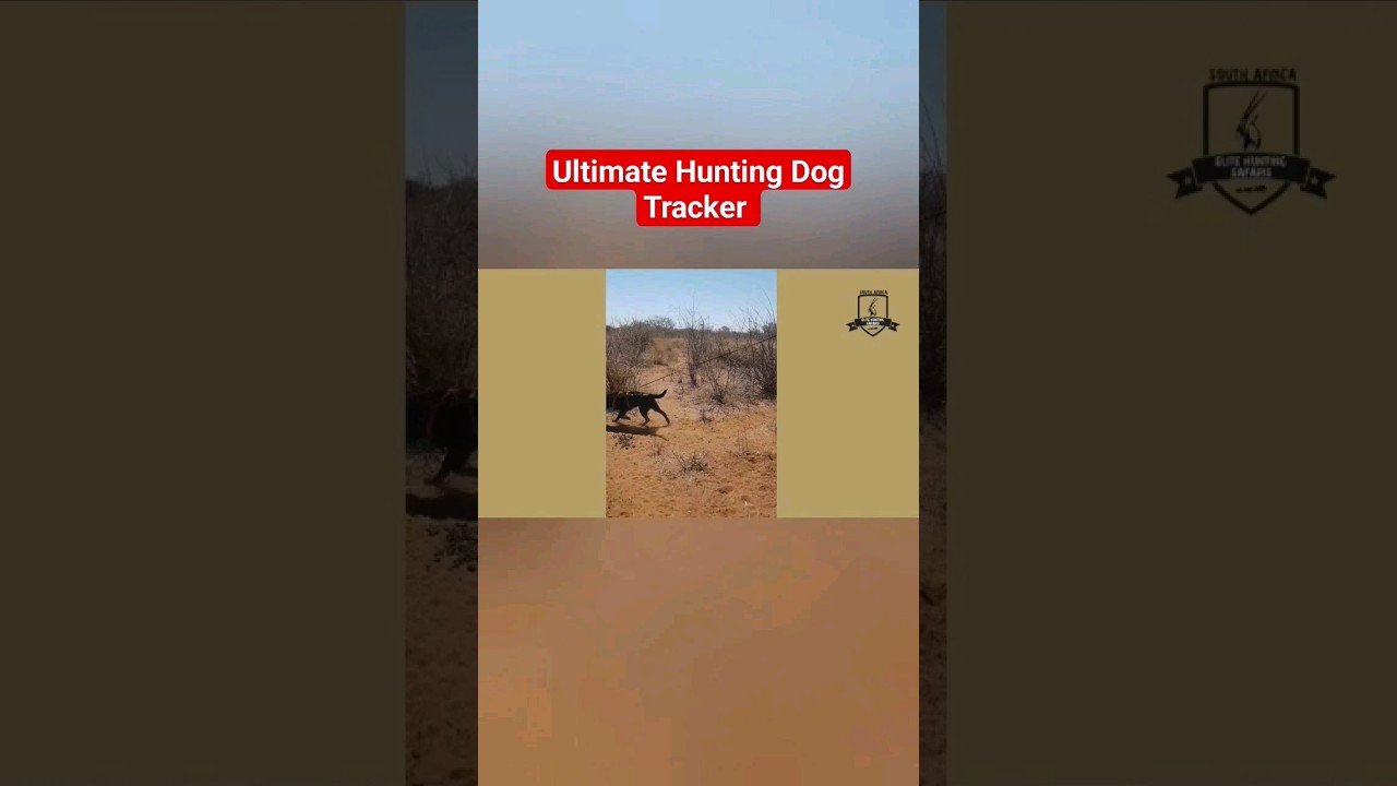 Ultimate Hunting Dog Tracker 