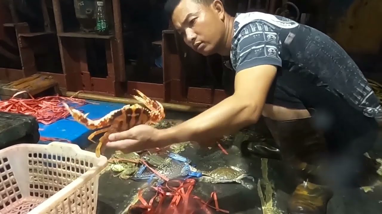 遠洋拖網捕撈，這一網的收穫堆滿船艙，現場非常刺激
