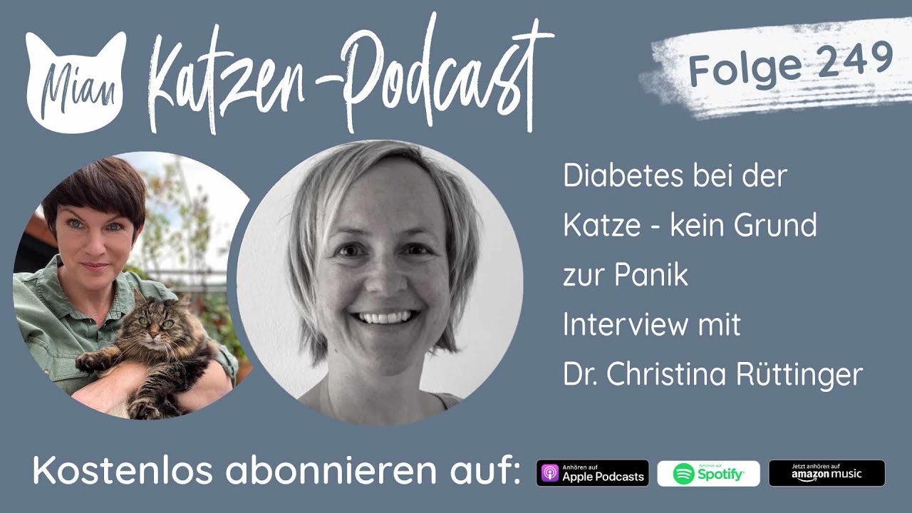 #249 Diabetes bei der Katze - Kein Grund zur Panik | Miau Katzen-Podcast