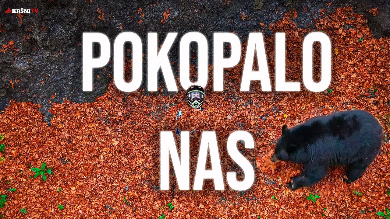 Dalmatinci na LJIGI - Rodeo