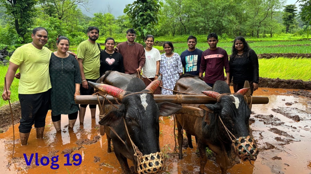 रांजण करानी राबवला १ नवीन उपक्रम भात लागवडीचा (vlog 19)