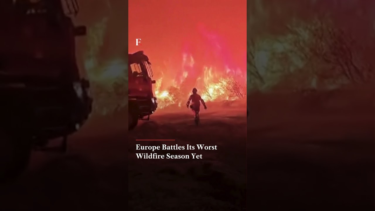 Southern Europe Wildfires Rage as Greece, France and Spain Battle Deadly Blazes | Firstpost News