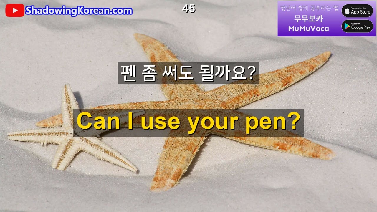 외국에서 꼭 필요한 영어 문장들입니다. 30분만 투자해 보세요 | 2026년 30분 공부 시리즈 #43