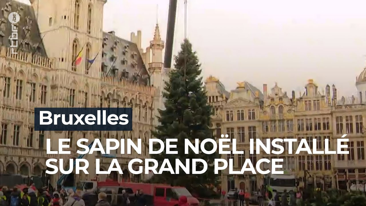Bruxelles : le sapin de No&euml;l est arriv&eacute; sur la Grand Place - RTBF Info