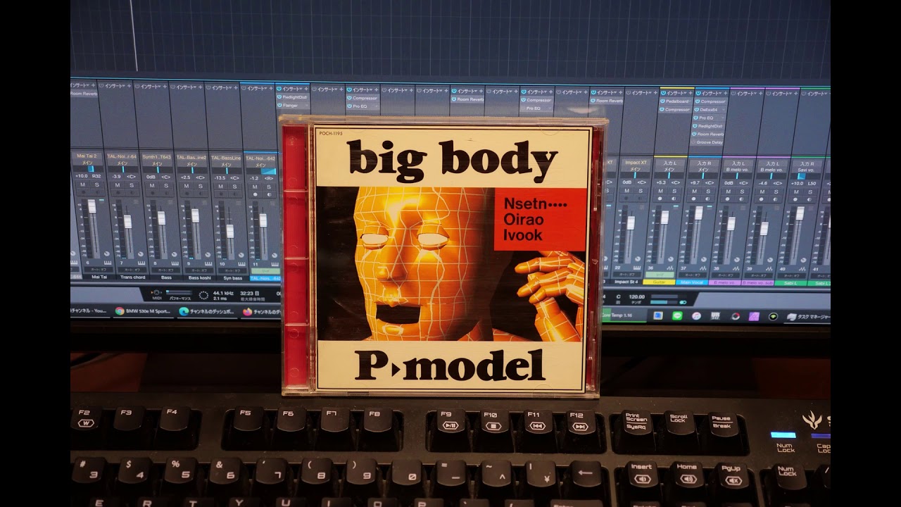 Homo Gestalt (P-MODEL cover)