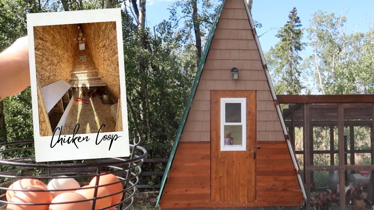 RENO'D A-FRAME CHICKEN COOP + RUN | DIY TOUR