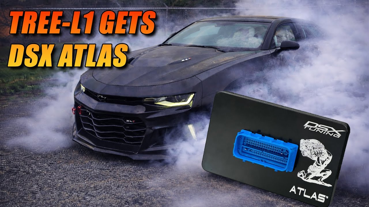 DSX Atlas: кардинально меняет ситуацию для ZL1