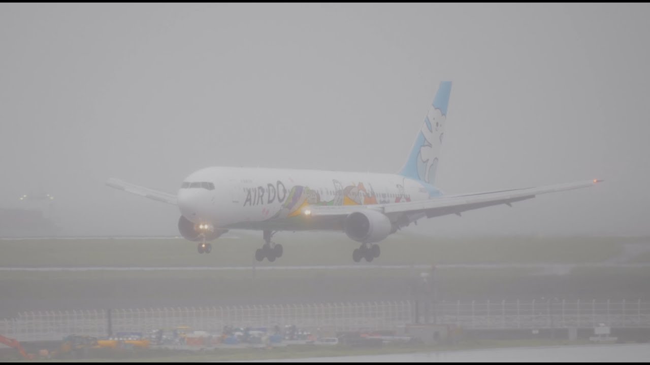 Boeing 767 Bad Weather Landing  |   Air Do at Haneda