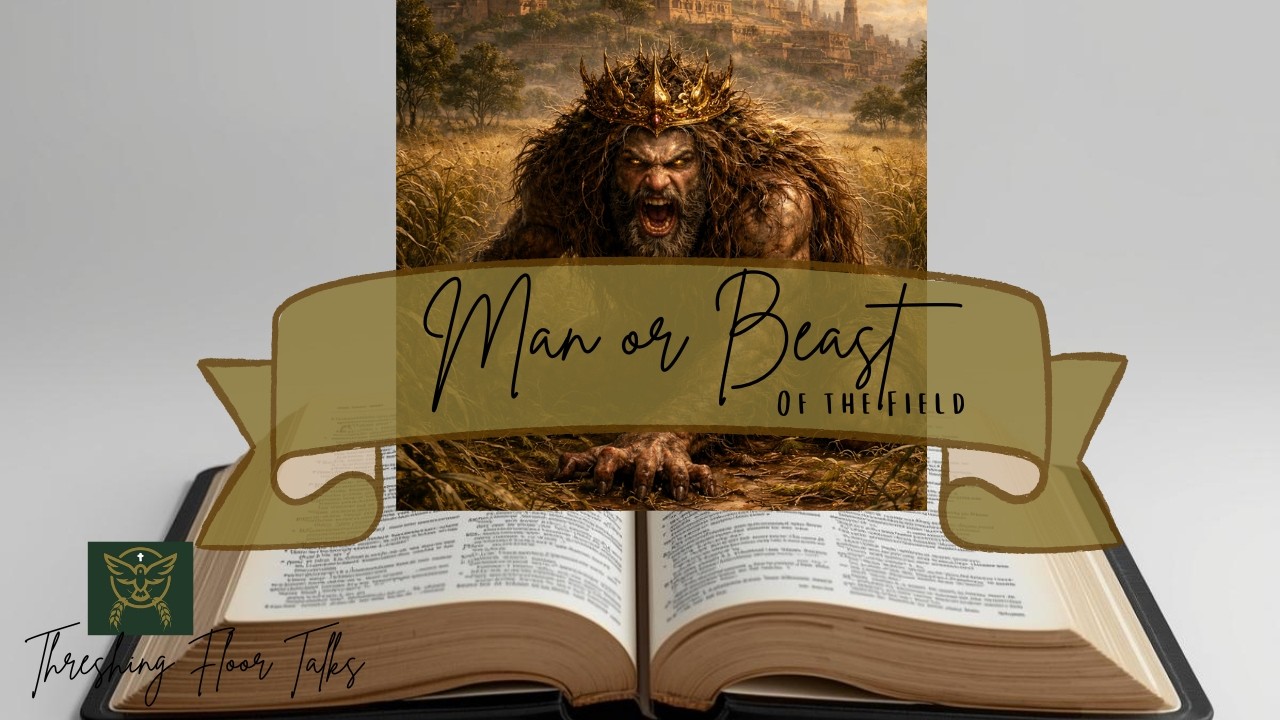 Beasts of the Field in Genesis Literal Animals or Symbolic Covenant Powers?