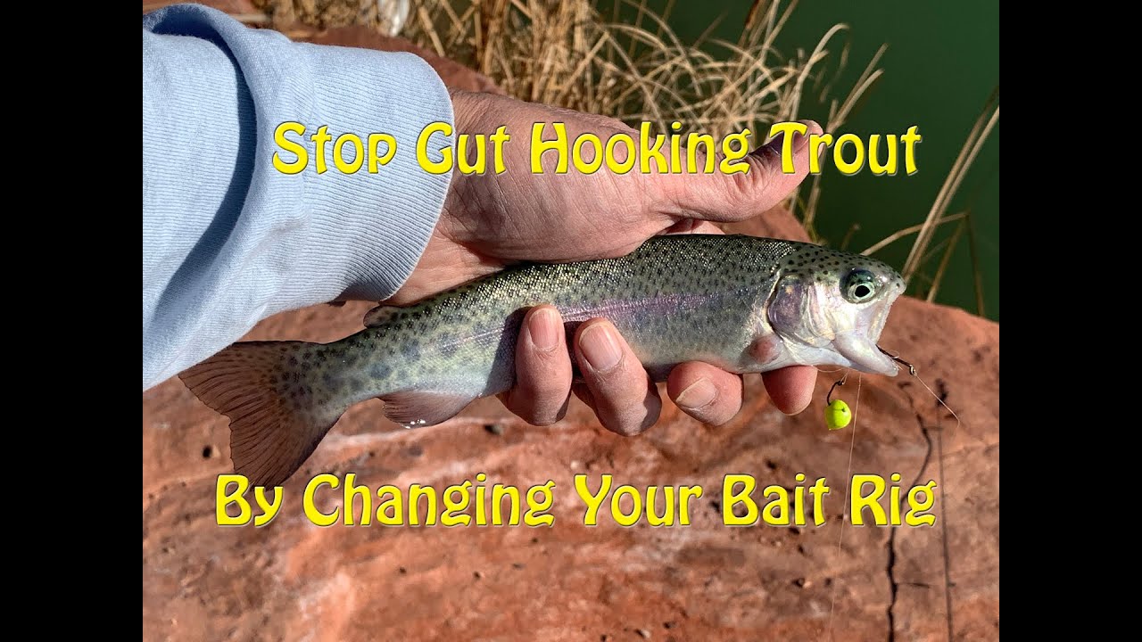 How to Not Gut Hook Trout When Using Powerbait Trout Bait - Skyline Pond